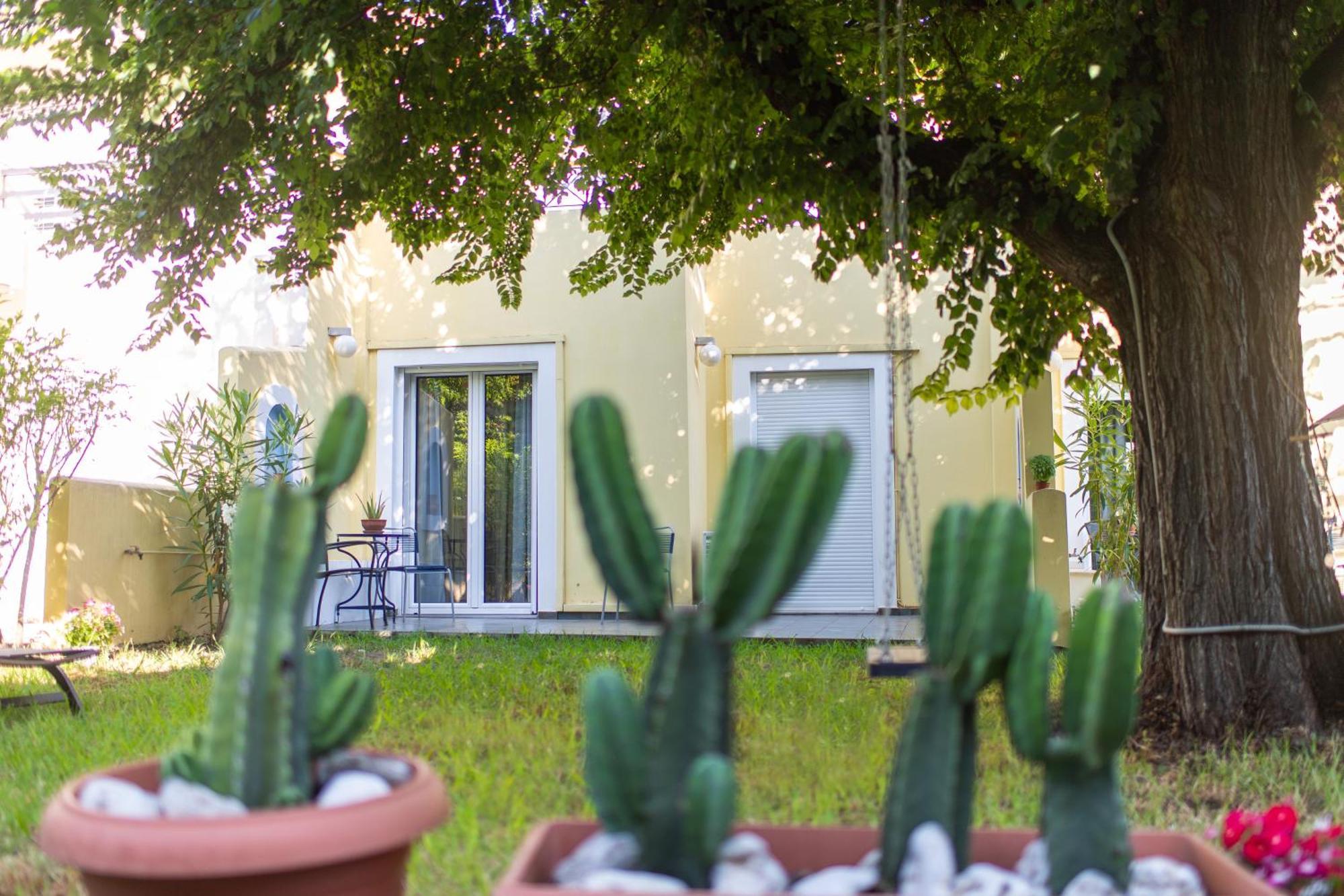 Amarylis Apartments Elaionas  Exterior photo